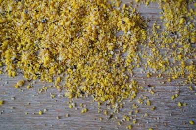 Your Parrot Egg Food Easy