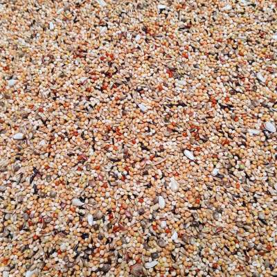 Bird Supreme Neo Excellent 20 kg