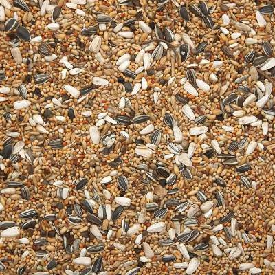 Bird Supreme Parakeets