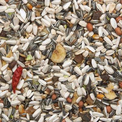 Bird Supreme Parrots 2,5 kg